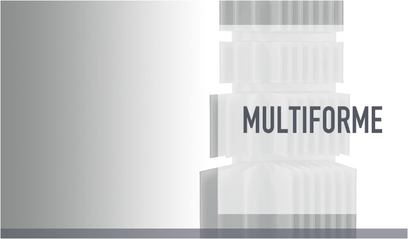 Collection Multiforme: dettagli essenziali